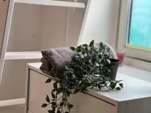 a potted plant sitting on top of a table at Cozy room with smart solutions Grunerløkka Central in Oslo