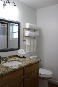 a bathroom with a sink and a mirror and a toilet at Hidden Sapphire-Apartment with Kitchen and Laundry in Lakeland +21 photos
