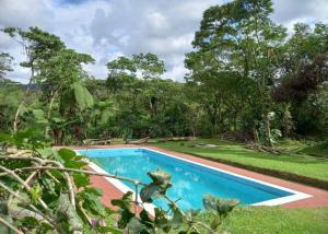 a swimming pool in the middle of a garden at Tipis Cuetzalan in Cuetzalán del Progreso