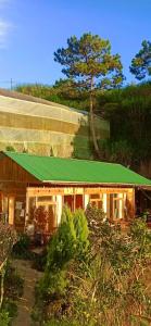 a house with a green roof and a tree at Lâm Bích Homestay & Coffee in Ấp Phước Thánh