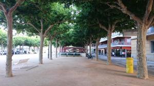 una strada alberata con una panchina e un edificio di Hostal Noray a Sant Feliu de Guíxols