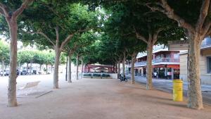 a tree lined street with a bench and a building at Hostal Noray in Sant Feliu de Guíxols