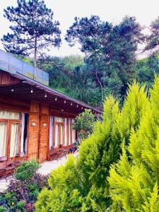 a building with a bunch of bushes in front of it at Lâm Bích Homestay & Coffee in Ấp Phước Thánh