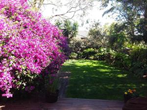 Fotografie z fotogalerie ubytování Contemporary & Elegant 1920's Period House by My Lodgingfy International v destinaci Mentone + 17 fotografií