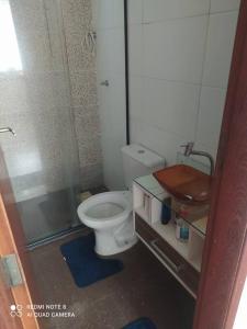 y baño pequeño con aseo y ducha. en Apartamento com vista para piscina, en Cataguases