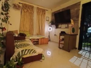Televizorius ir (arba) pramogų centras apgyvendinimo įstaigoje Pa Pasiar Hostal