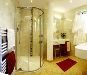 a bathroom with a shower and a sink at Kamptalschlössl in Plank am Kamp +34 photos