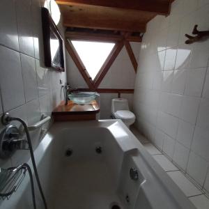 baño con bañera, aseo y ventana en Domo Geodésico Las Burritas, en Osorno