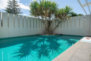 a swimming pool with a tree in the middle at Bronze in Lennox Head