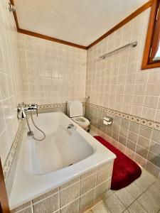 bagno con vasca e servizi igienici di Duke's Horizon Villa in Arachova ad Aráchova Altre 22 foto