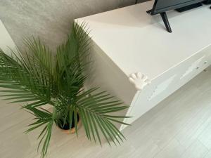 a plant sitting on the floor in a room at Stay Light in Seoul