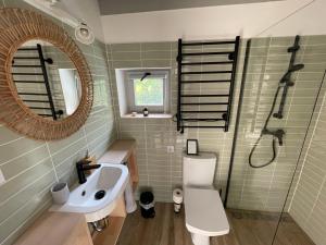 a bathroom with a sink and a toilet and a mirror at Fotel home in Csókakő +31 photos