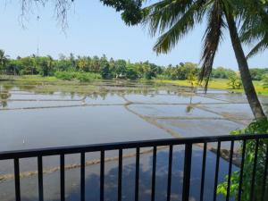 Permandangan sungai dekat dengan rumah tamu ini