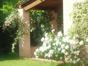 un arco de ladrillo con flores blancas en un jardín en La Vigna Apartment, en Siena
