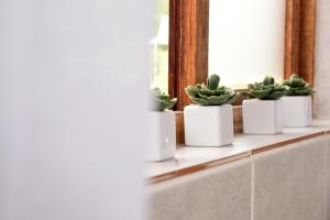 a row of potted plants sitting on a window sill at Sebakwe in Dullstroom