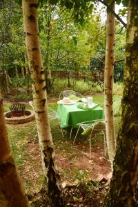 einen grünen Tisch und Stühle in einem Garten mit Bäumen in der Unterkunft Sebakwe in Dullstroom