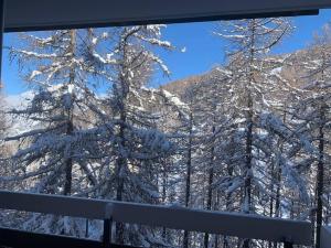 a view of snow covered trees from a window at Studio Le flocon in Vars