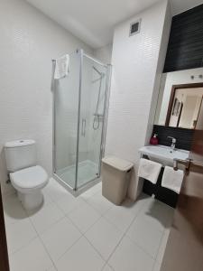 La salle de bains est pourvue d'une douche, de toilettes et d'un lavabo. dans l'établissement Ático de Lujo en el Centro de Burgos, à Burgos