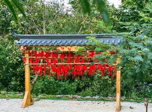 Zahrada ubytování Wudang Mountain Manju Manor
