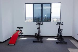 a gym with three tread machines and a window at Three Bedroom Luxury Apartment in Nairobi