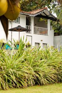 una casa blanca con un paraguas y algunas plantas en Coco Tangalla en Tangalle