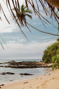 uma praia com uma palmeira e o oceano em Coco Tangalla em Tangalle