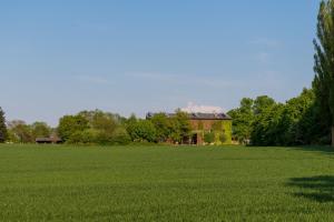 a large green field with a house in the background at Gutsscheune Thorstorf in Thorstorf