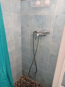 eine Dusche mit einem Schlauch im gefliesten Bad in der Unterkunft Villa Caracas in Lamentin