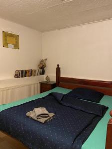 Posteľ alebo postele v izbe v ubytovaní Apartmány Friday