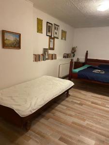 a bedroom with two beds in a room at Apartmány Friday in Liberec