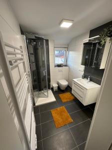 a bathroom with a shower and a toilet and a sink at TraumFeWo Morgentau in Bad Harzburg