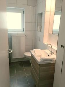 uma casa de banho com um lavatório, um WC e uma janela. em Wohnung 2 Ensingerstrtaße em Ulm