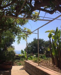 アナカプリにあるB&B Eden Fraitの海の景色を望む庭園