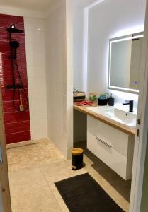 uma casa de banho com um lavatório e um chuveiro com um espelho. em Les chambres du Roc'h Hir à Loguivy de la Mer em Ploubazlanec