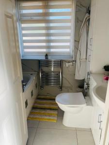a bathroom with a toilet and a sink and a window at Large guest Room in Maidenhead