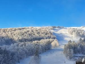 an aerial view of a snow covered forest and a river at appartement 6 places station super besse in Besse-et-Saint-Anastaise