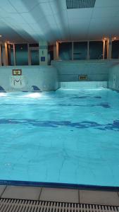 a large indoor swimming pool with blue water at Stressless aktivCARD Bayerischer Wald inklusive in Sankt Englmar