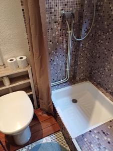 a bathroom with a shower with a toilet and a sink at Studio Perpignan in Perpignan