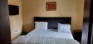 Una cama con sábanas blancas y almohadas en un dormitorio en 3TS LUXURY APARTMENTS, en Sangotedo