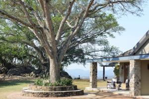 een boom voor een huis bij Tomjachu Bush Retreat in Nelspruit