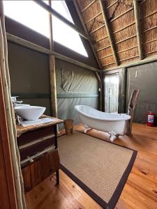 Fotografie z fotogalerie ubytování Harmony Luxury Tents & Safari v destinaci Addo