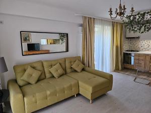 Il comprend un salon avec un canapé et une cuisine. dans l'établissement Manolaire Airport Residence, à Otopeni