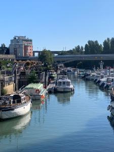 un grupo de barcos están atracados en un río en Nid d amour sous les toits, en Nogent-sur-Marne