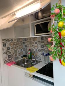 cocina con fregadero y planta en Nid d amour sous les toits, en Nogent-sur-Marne