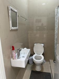 a bathroom with a toilet and a sink and a mirror at MELJAA STAR Guesthouse in Cape Town