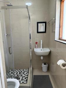 a bathroom with a shower and a sink at MELJAA STAR Guesthouse in Cape Town