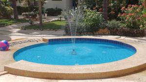 Piscine de l'établissement Appartement "AMINA" mit Pool ou située à proximité
