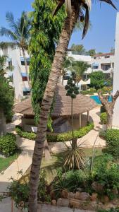 Piscine de l'établissement Appartement "AMINA" mit Pool ou située à proximité