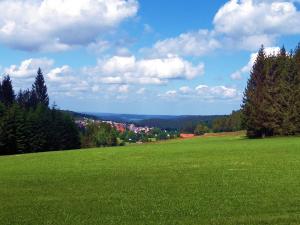 un campo de césped verde con una ciudad a lo lejos en Atelier Probst Schönwald, en Aufʼm Bühl