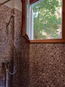 a shower in a bathroom with a window at Studio Perpignan in Perpignan